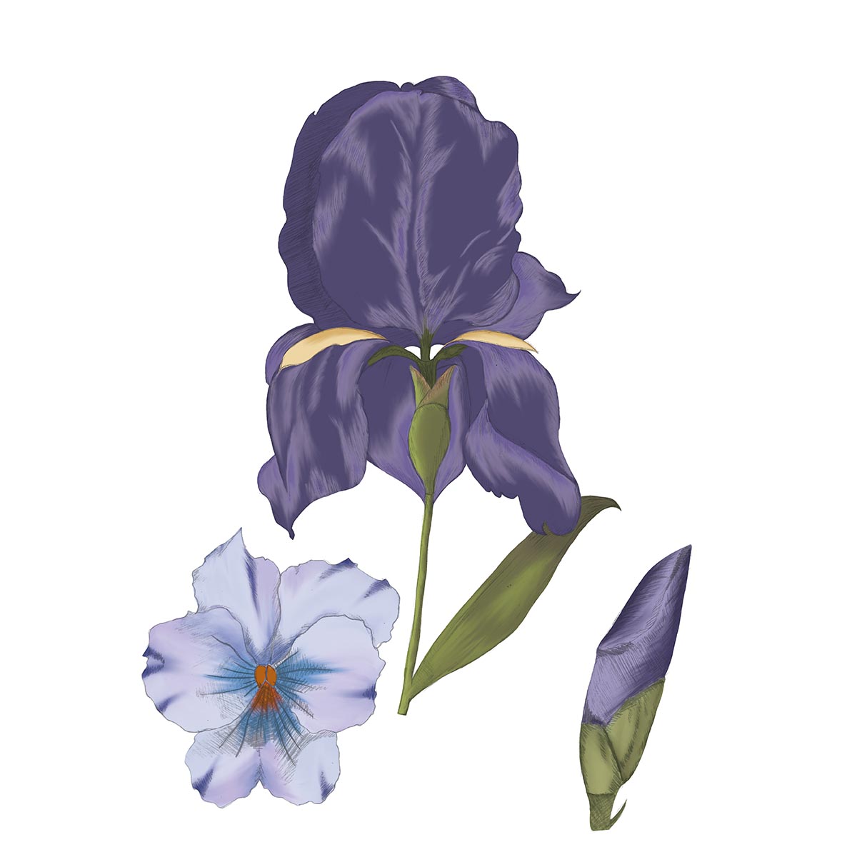 batjargal-anuujin-rennes-gm3-5